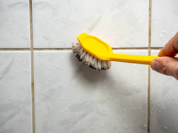 Best Mold Remediation for Schools in Whitney, NV